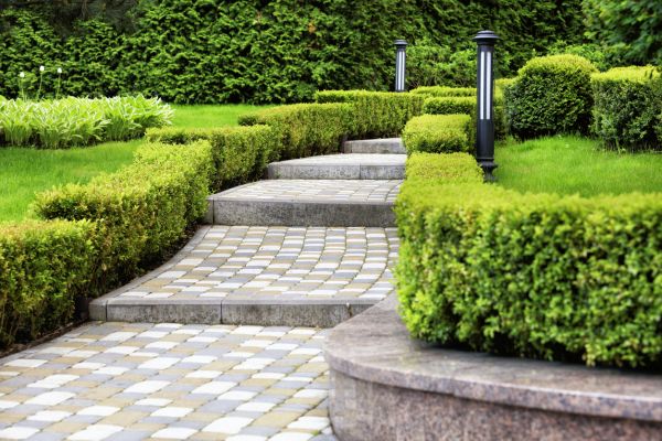 Backyard Remodeling in Sarasota