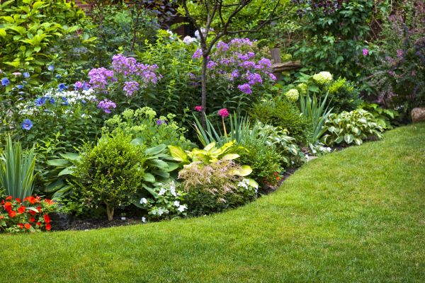 Flower Bed Service in Sarasota