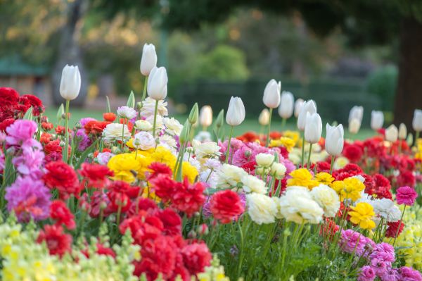 Gardening Service in Sarasota