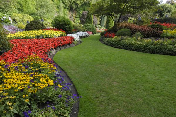 Landscaping Maintenance in Sarasota