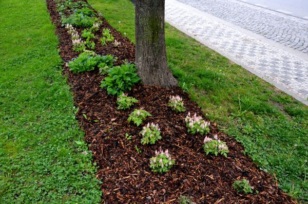 Mulch Replacement Service in Sarasota