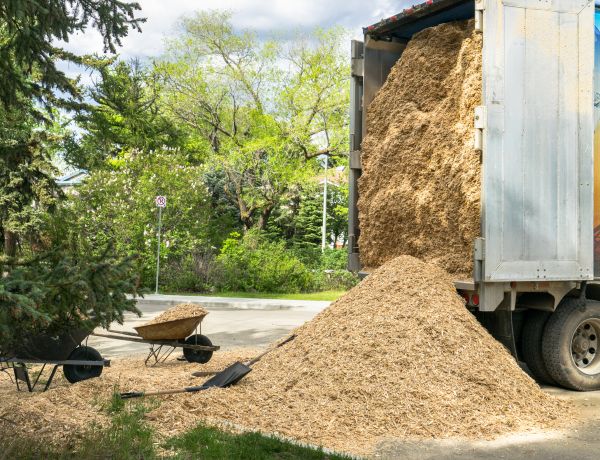 Wood Chips Delivery in Sarasota