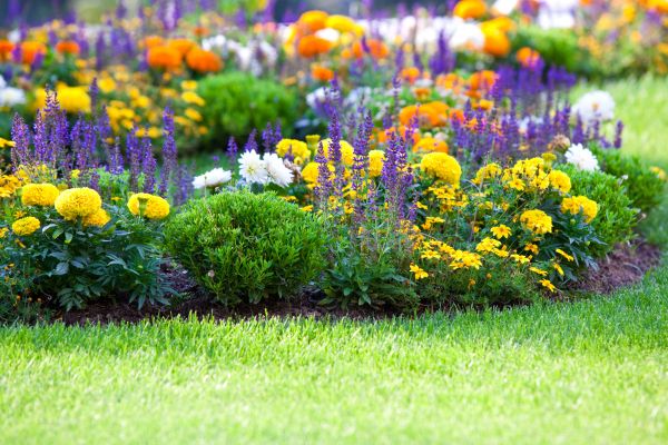 Garden Installation in Sarasota