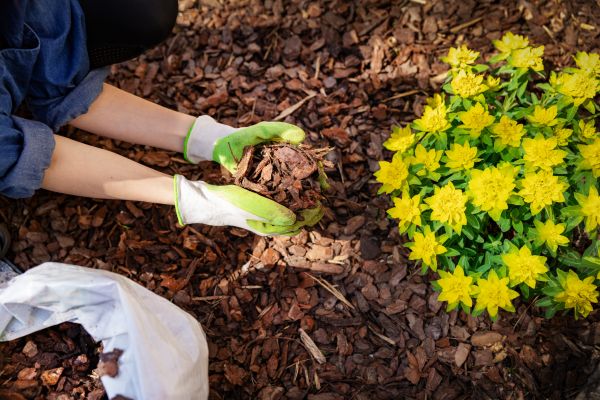 Garden Mulching in Sarasota