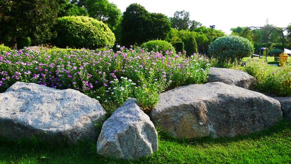 Boulder Landscaping in Sarasota