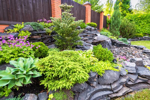 Landscape Remodeling in Sarasota