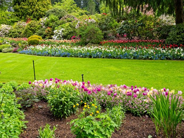 Residential Landscape Design in Sarasota