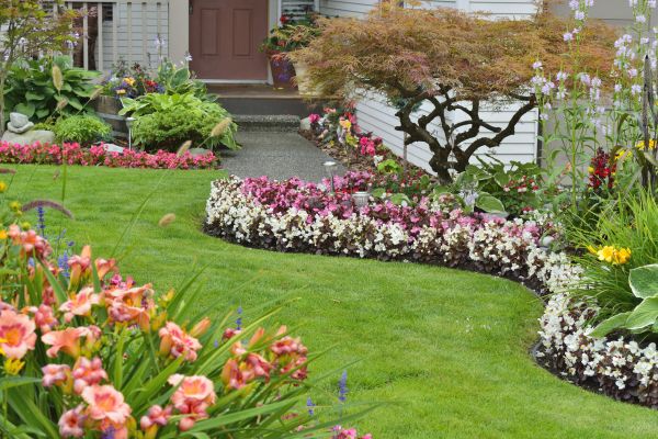 Perennial Landscaping in Sarasota
