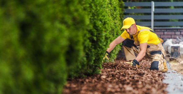 Cypress Mulch Installation in Sarasota