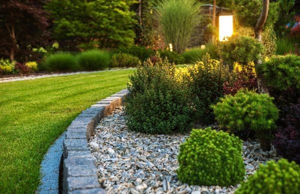 Landscaping Service in Sarasota