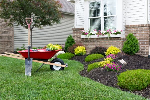 Tree And Shrub Planting in Sarasota