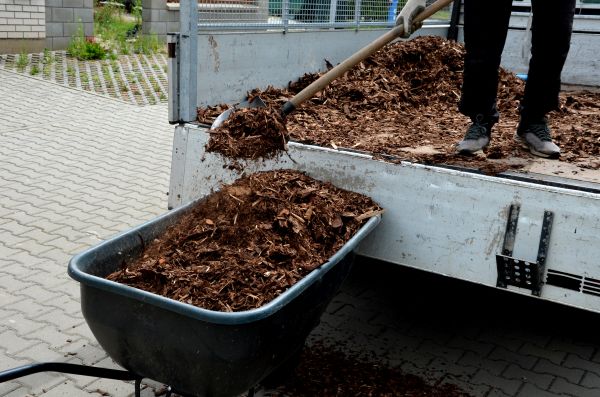 Cypress Mulch Delivery in Sarasota
