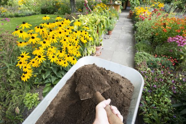 Topsoil Replacement in Sarasota