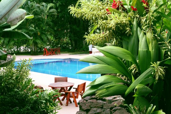 Pool Area Landscaping in Sarasota