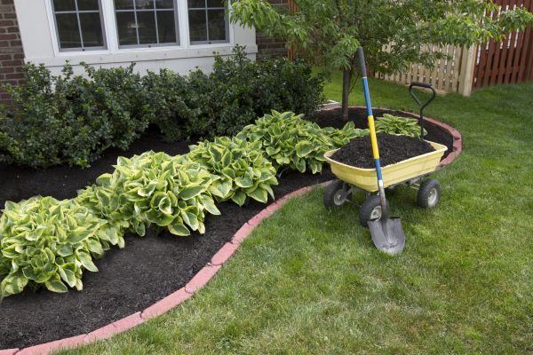 Landscape Mulching in Sarasota