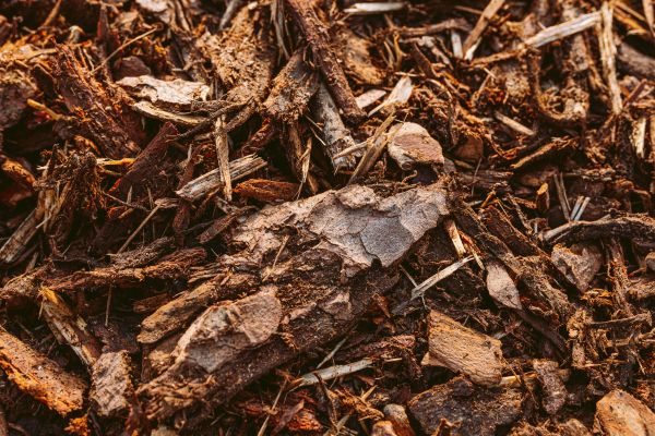 Bark Mulch Delivery in Sarasota