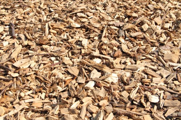Wood Mulch Delivery in Sarasota