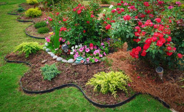 Floral Landscaping in Sarasota