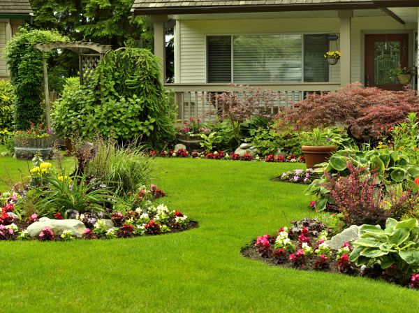 Flower Garden Planting in Sarasota