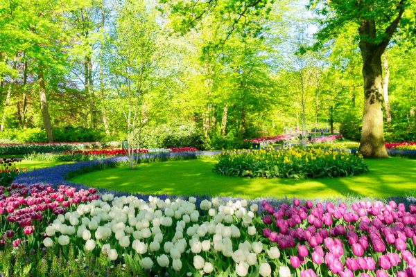 Flower Landscaping in Sarasota