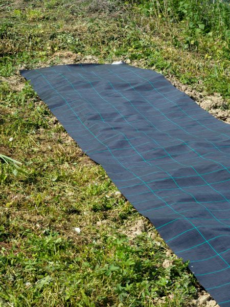 Weed Suppressant Installation in Sarasota