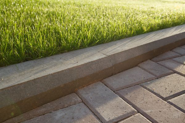 Lawn Edging Replacement in Sarasota