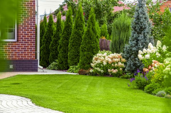 Spring Landscaping in Sarasota