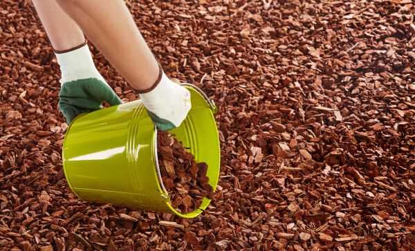 Wood Chip Landscaping in Sarasota