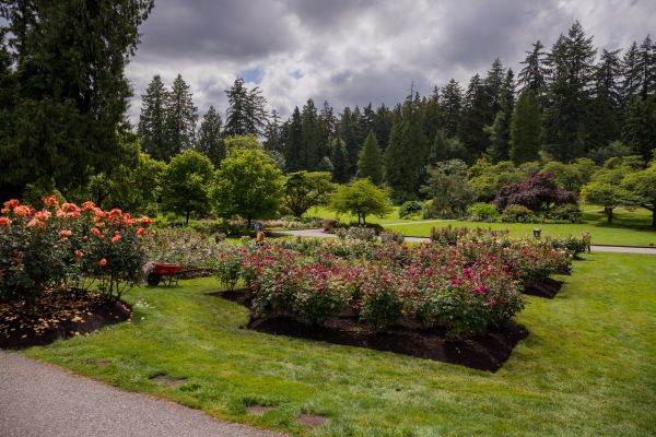 Flower Garden Landscaping in Sarasota