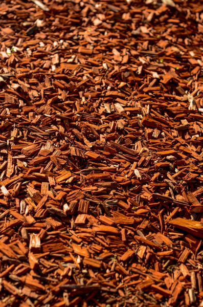 Cedar Mulch Spreading in Sarasota