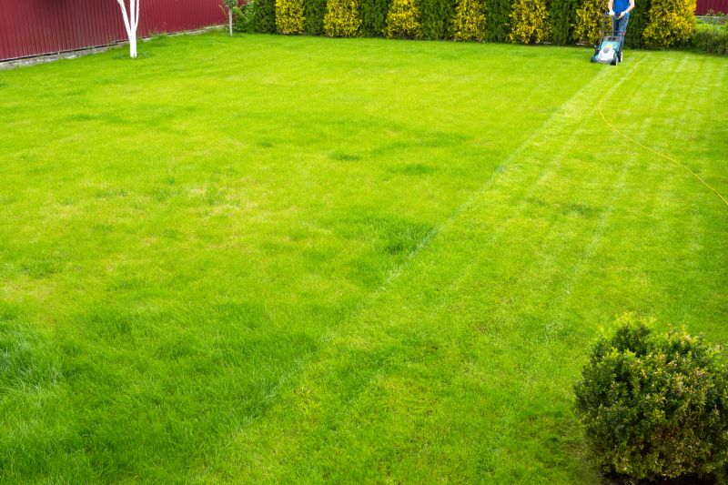 Lawn and Turf Management